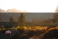 Discipline Mindset: How to Build a Stronger Mindset Every Day